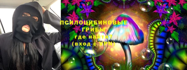 твердый Алексин