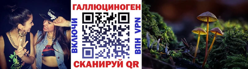 Галлюциногенные грибы мицелий  Николаевск-на-Амуре 